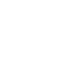 Fraud Detection Icon - white
